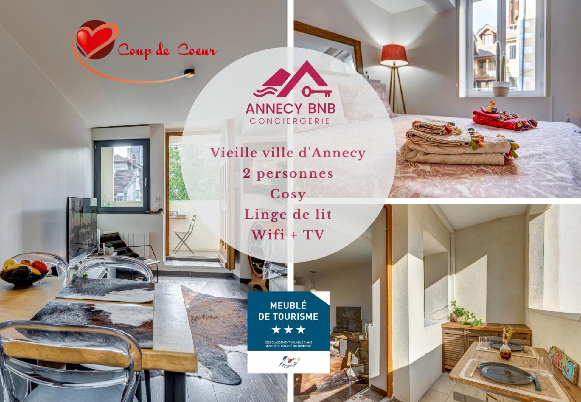 Apartamento Le Pura Vida, Hyper Centre Terrasse + Parking Annecy Exterior foto